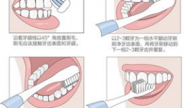 巴氏刷牙法视频,高效口腔护理技巧全解析